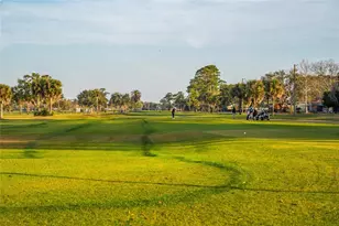 830 Fairway Dr, New Smyrna Beach, FL 32168 - Photo 38