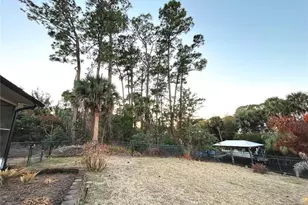 117 Azalea Rd, Edgewater, FL 32141 - Photo 34