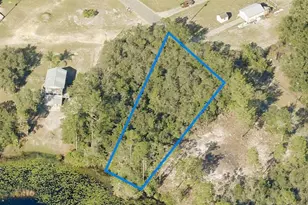 0 Fishermans Rd, Paisley, FL 32767 - Photo 1