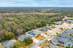 6085 Sanctuary Garden Blvd, Port Orange, FL 32128 - Photo 54