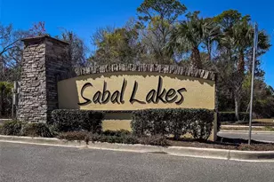 459 Pink Coral Ln, New Smyrna Beach, FL 32168 - Photo 48