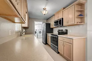 3 Edmond Ct, New Smyrna Beach, FL 32169 - Photo 14