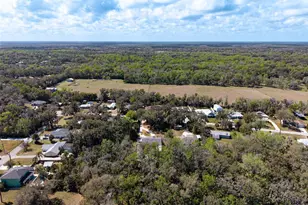 893 Bolton Rd, New Smyrna Beach, FL 32168 - Photo 64