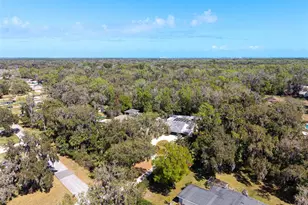 893 Bolton Rd, New Smyrna Beach, FL 32168 - Photo 50