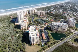 250 Minorca Beach Way, New Smyrna Beach, FL 32169 - Photo 40