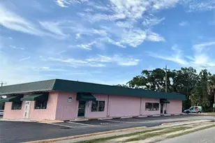 401 Mary Ave, New Smyrna Beach, FL 32168 - Photo 1