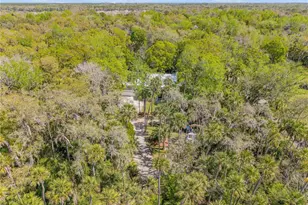 2101 Knittle Cir, New Smyrna Beach, FL 32168 - Photo 94