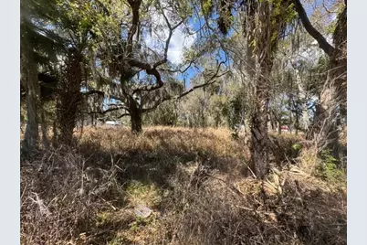 Wallace Road, New Smyrna Beach, FL 32168 - Photo 6