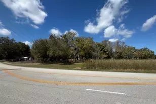 Wallace Rd, New Smyrna Beach, FL 32168 - Photo 1