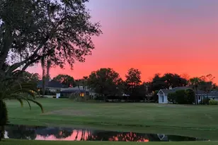 203 Prestwick Dr, New Smyrna Beach, FL 32168 - Photo 70