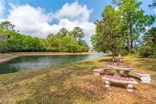 722 Aldenwood Trail, New Smyrna Beach, FL 32168 - Photo 36