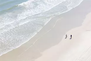 2937 S Atlantic Ave, Daytona Beach Shores, FL 32118 - Photo 18