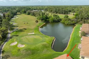 1801 Turnbull Lakes Dr, New Smyrna Beach, FL 32168 - Photo 38