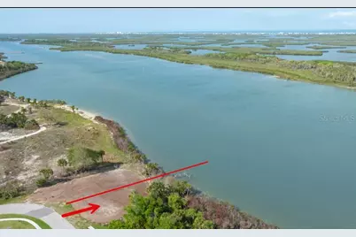 185 Jones Fish Camp Road, Edgewater, FL 32141 - Photo 6