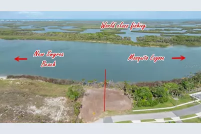 185 Jones Fish Camp Road, Edgewater, FL 32141 - Photo 8