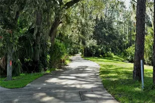3431 Torre Blvd, New Smyrna Beach, FL 32168 - Photo 98