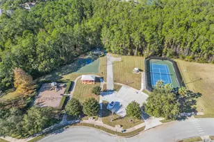 3055 Isola Bella Blvd, Mount Dora, FL 32757 - Photo 78