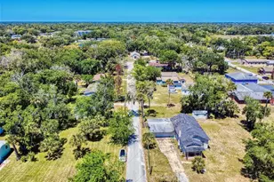 410 Inwood Ave, New Smyrna Beach, FL 32168 - Photo 62