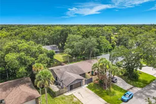 1302 Bond St, Edgewater, FL 32132 - Photo 40