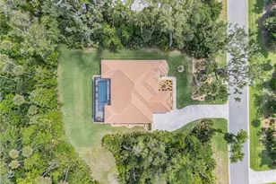 2338 Legacy Ln, New Smyrna Beach, FL 32168 - Photo 78