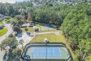 3021 Isola Bella Blvd, Mount Dora, FL 32757 - Photo 88
