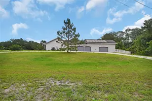 2590 Erena Dr, New Smyrna Beach, FL 32168 - Photo 72
