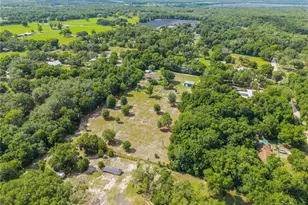 1167 Ohio St, De Leon Springs, FL 32130 - Photo 72