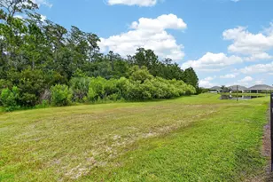 3331 Bellino Blvd, New Smyrna Beach, FL 32168 - Photo 42