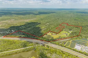 800 Hidden Oaks Ln, Oak Hill, FL 32759 - Photo 100