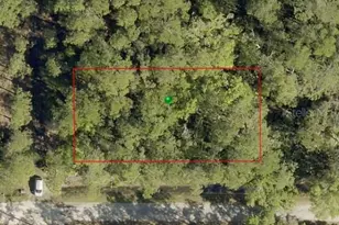 2301 10th Ave, Deland, FL 32724 - Photo 1