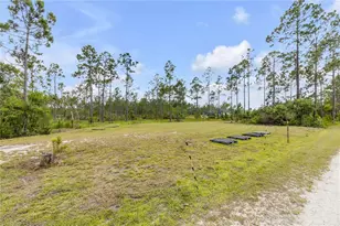 300 Omega Ranch Rd, New Smyrna Beach, FL 32168 - Photo 8