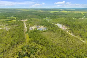300 Omega Ranch Rd, New Smyrna Beach, FL 32168 - Photo 94