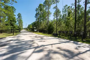 300 Omega Ranch Rd, New Smyrna Beach, FL 32168 - Photo 2