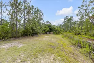 300 Omega Ranch Rd, New Smyrna Beach, FL 32168 - Photo 66