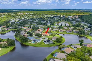 6067 Sabal Crossing Ct, Port Orange, FL 32128 - Photo 80