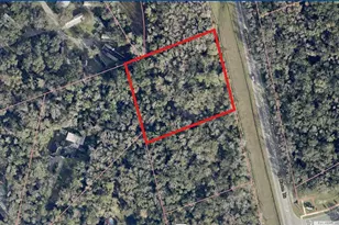 Old Mission Rd, New Smyrna Beach, FL 32168 - Photo 1