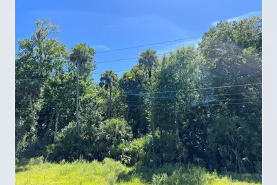 Old Mission Road, New Smyrna Beach, FL 32168 - Photo 10