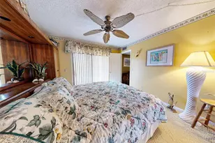 133 Cedar Dunes Dr, New Smyrna Beach, FL 32169 - Photo 46