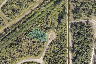 Poiret Ct, North Port, FL 34288 - Photo 1