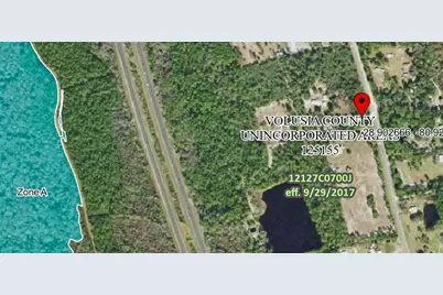 4660 Cow Creek Road, Edgewater, FL 32141 - Photo 6