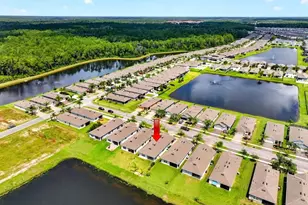 3118 Borassus Dr, New Smyrna Beach, FL 32168 - Photo 30