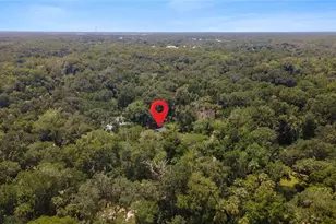 706 S Timberlane Dr, New Smyrna Beach, FL 32168 - Photo 74