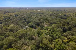 706 S Timberlane Dr, New Smyrna Beach, FL 32168 - Photo 68