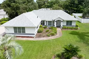 1004 Stagger Bush Pl, New Smyrna Beach, FL 32168 - Photo 30
