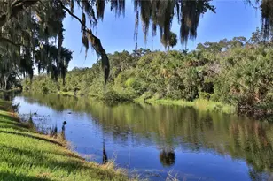 237 Navajo Dr, Oak Hill, FL 32759 - Photo 34