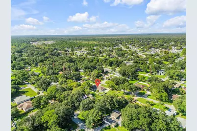 3205 Mango Tree Drive, Edgewater, FL 32141 - Photo 58