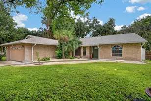 2815 Orange Tree, Edgewater, FL 32141 - Photo 1