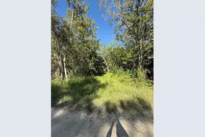 1785 Maplewood Drive, Edgewater, FL 32132 - Photo 4
