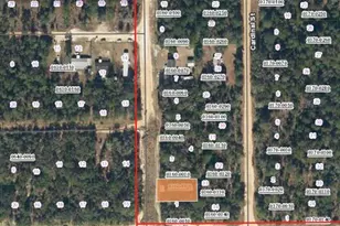 Bishop St, Interlachen, FL 32148 - Photo 1