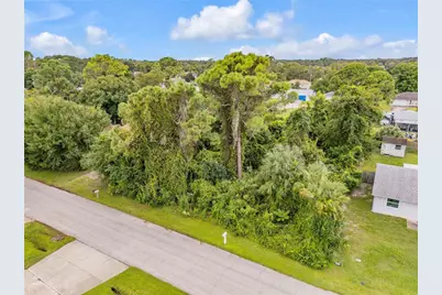 Umbrella Tree Drive, Edgewater, FL 32132 - Photo 4